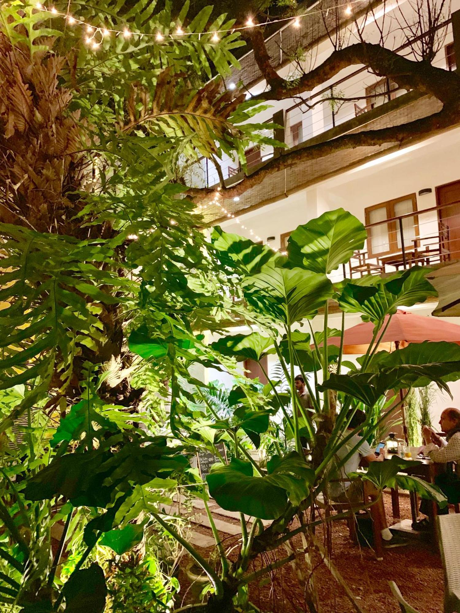 Sayura House Otel Kolombo Dış mekan fotoğraf